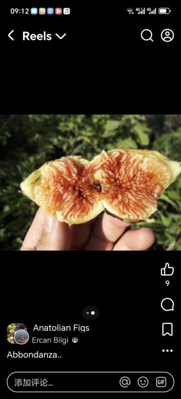 小果迷-种植爱好者交流互动平台