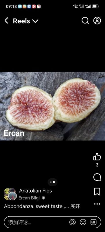 小果迷-种植爱好者交流互动平台