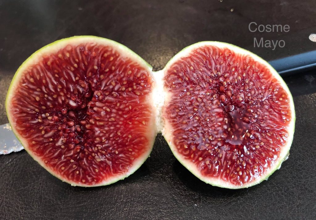 小果迷-种植爱好者交流互动平台