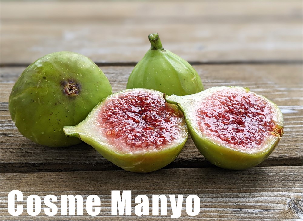 小果迷-种植爱好者交流互动平台