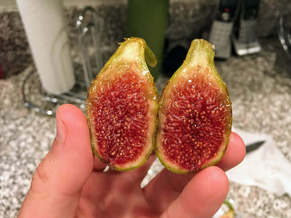 小果迷-种植爱好者交流互动平台