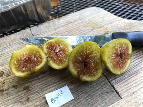 小果迷-种植爱好者交流互动平台