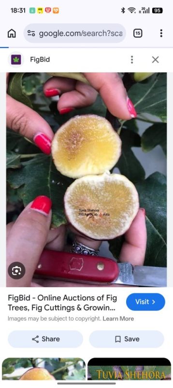 小果迷-种植爱好者交流互动平台