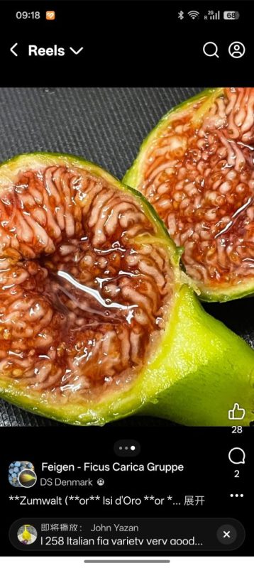 小果迷-种植爱好者交流互动平台