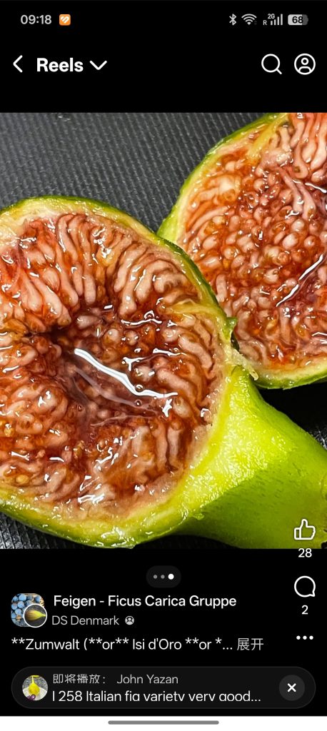 小果迷-种植爱好者交流互动平台