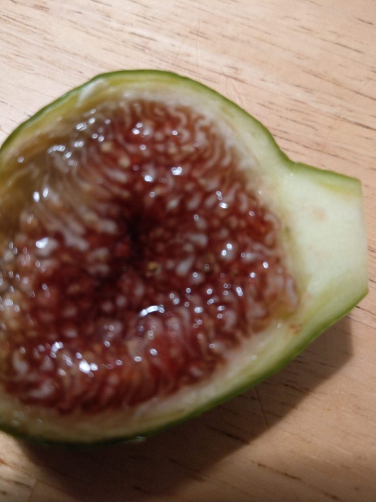 小果迷-种植爱好者交流互动平台