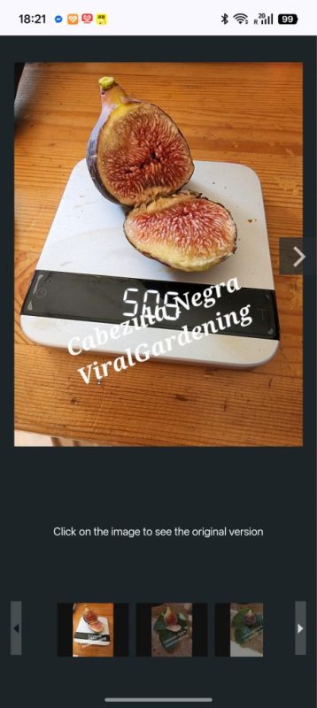 小果迷-种植爱好者交流互动平台