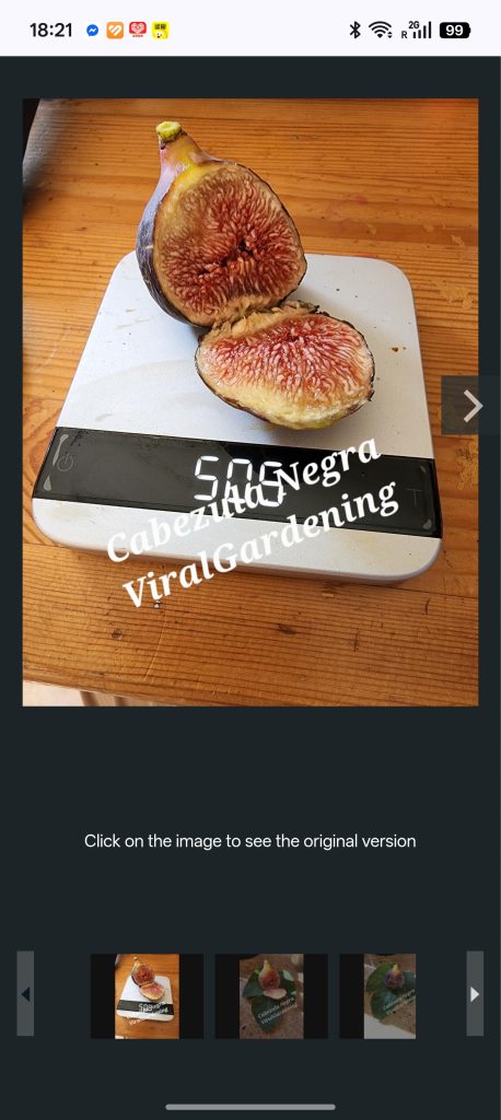 小果迷-种植爱好者交流互动平台