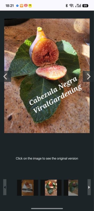 小果迷-种植爱好者交流互动平台