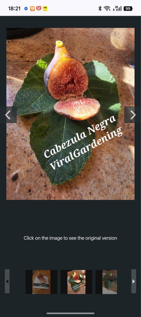 小果迷-种植爱好者交流互动平台