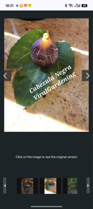 小果迷-种植爱好者交流互动平台