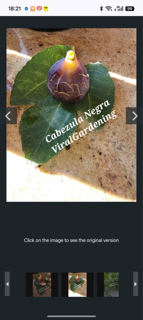 小果迷-种植爱好者交流互动平台