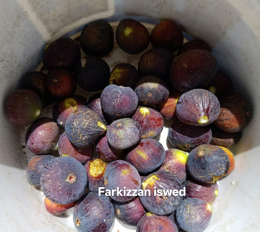 小果迷-种植爱好者交流互动平台