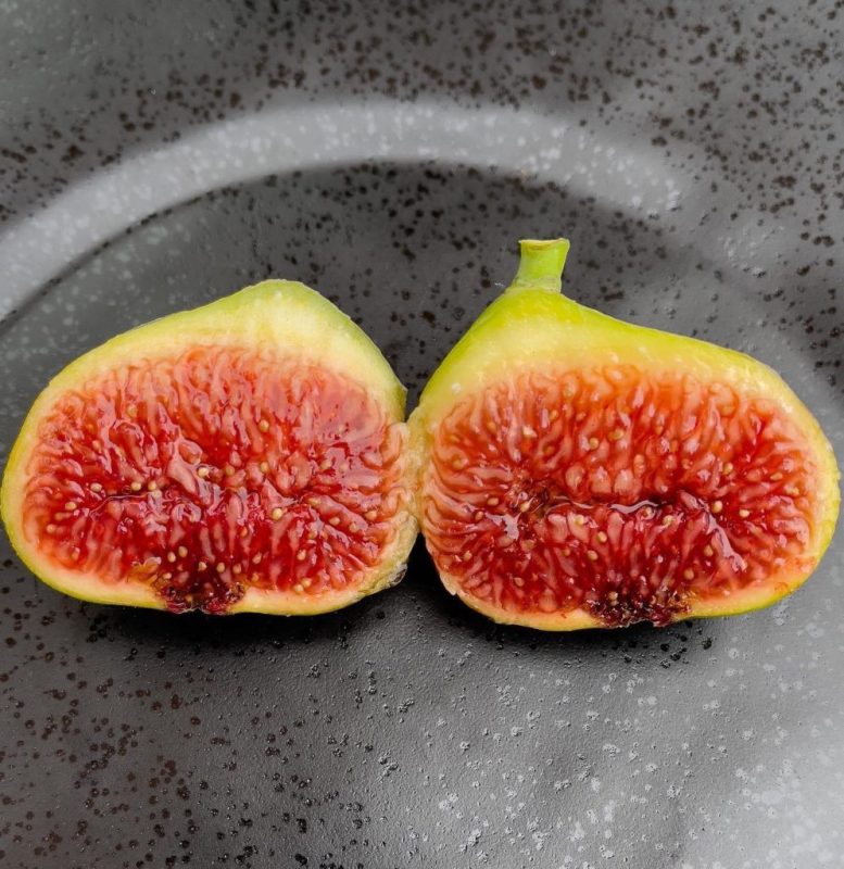 小果迷-种植爱好者交流互动平台