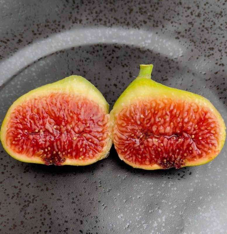 小果迷-种植爱好者交流互动平台