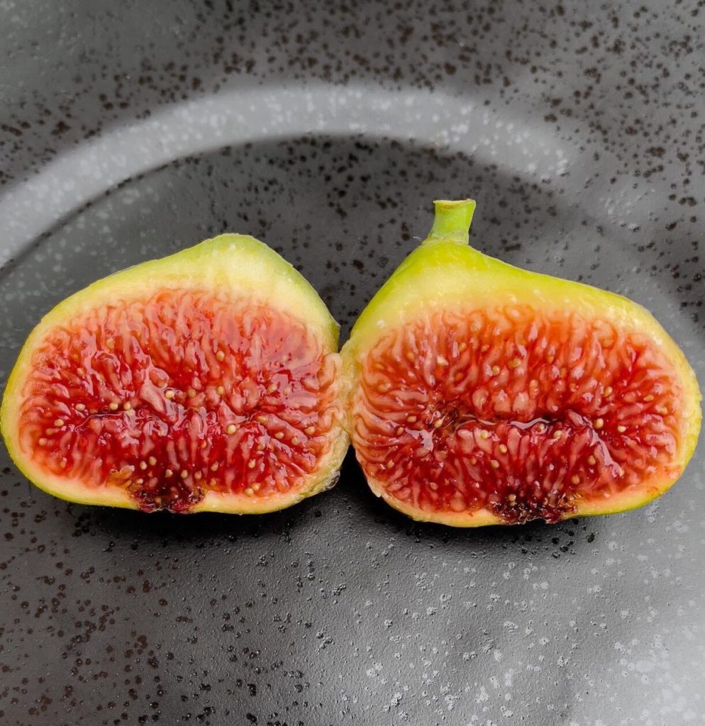 小果迷-种植爱好者交流互动平台