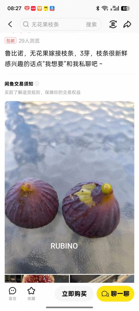 小果迷-种植爱好者交流互动平台