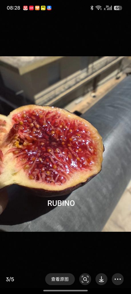 小果迷-种植爱好者交流互动平台