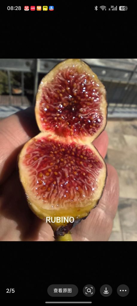 小果迷-种植爱好者交流互动平台