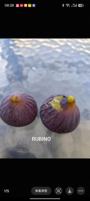 小果迷-种植爱好者交流互动平台