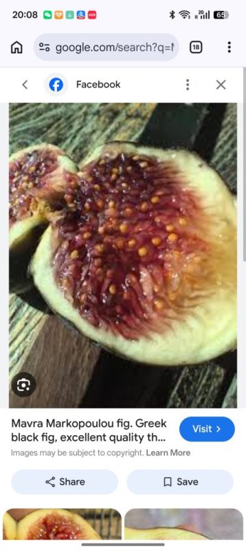 小果迷-种植爱好者交流互动平台