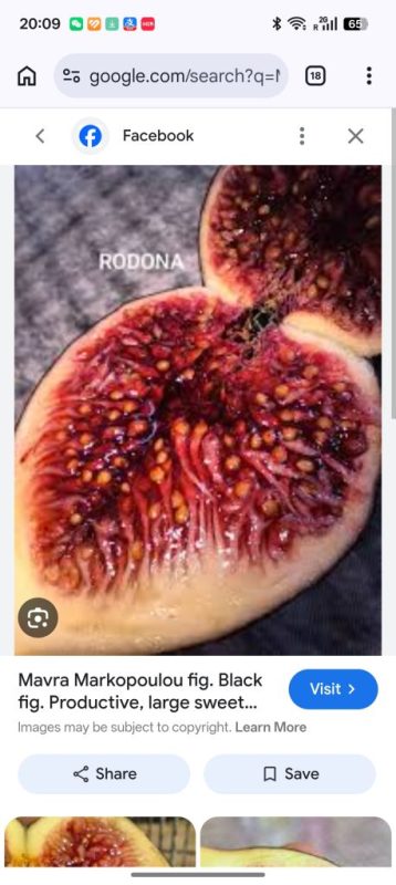 小果迷-种植爱好者交流互动平台