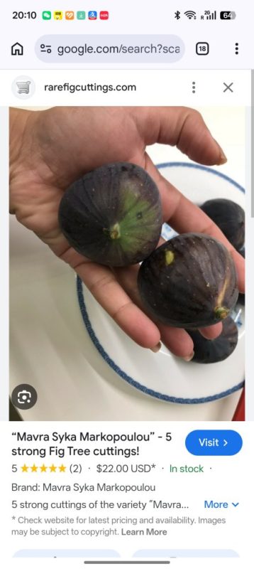 小果迷-种植爱好者交流互动平台