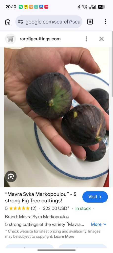 小果迷-种植爱好者交流互动平台