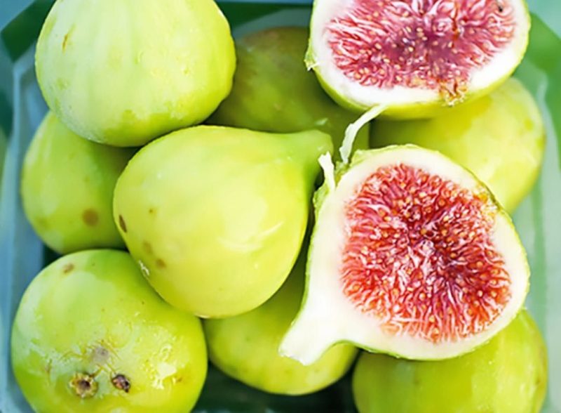 小果迷-种植爱好者交流互动平台