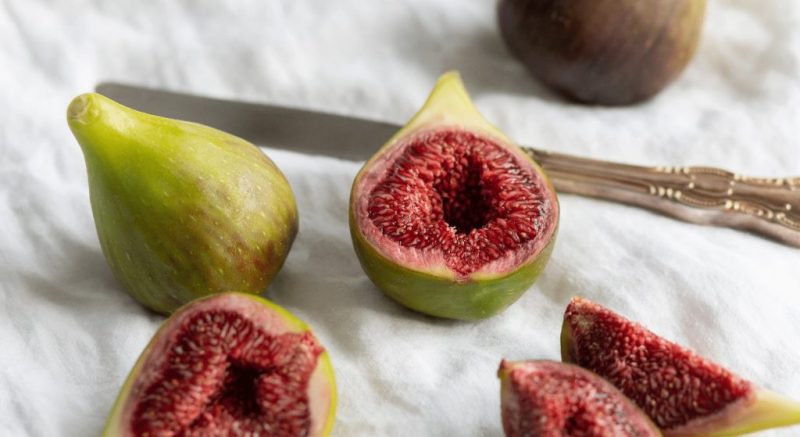 小果迷-种植爱好者交流互动平台