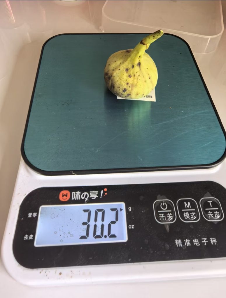 评论图片-小果迷