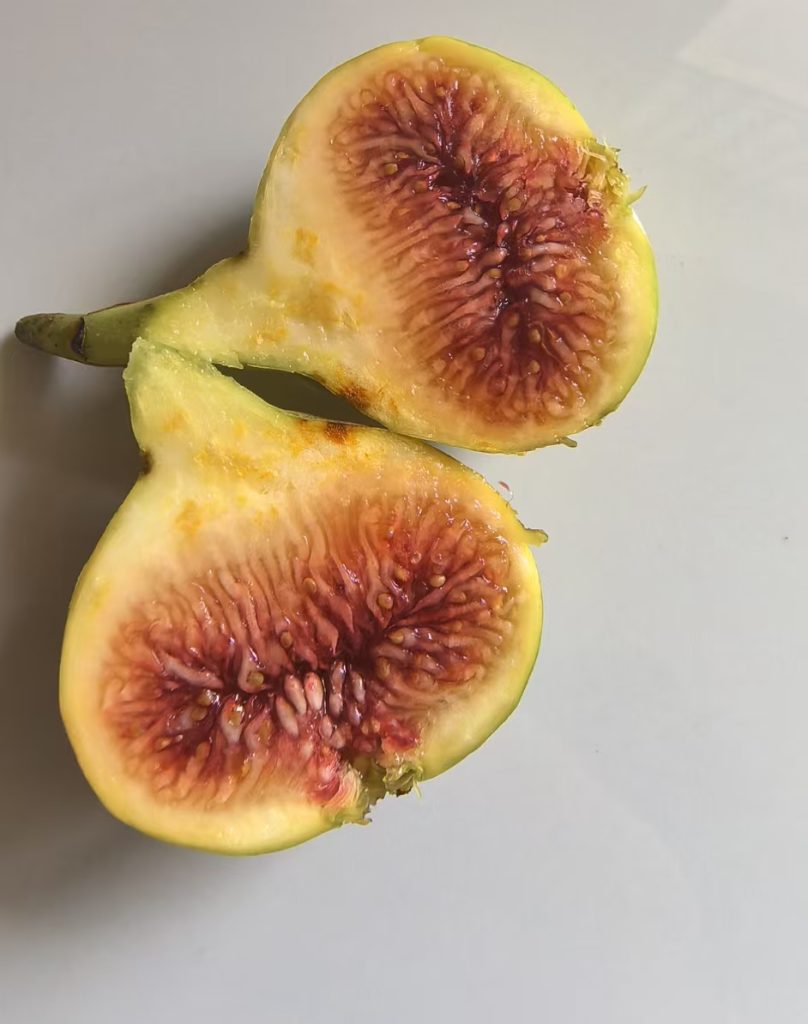 评论图片-小果迷