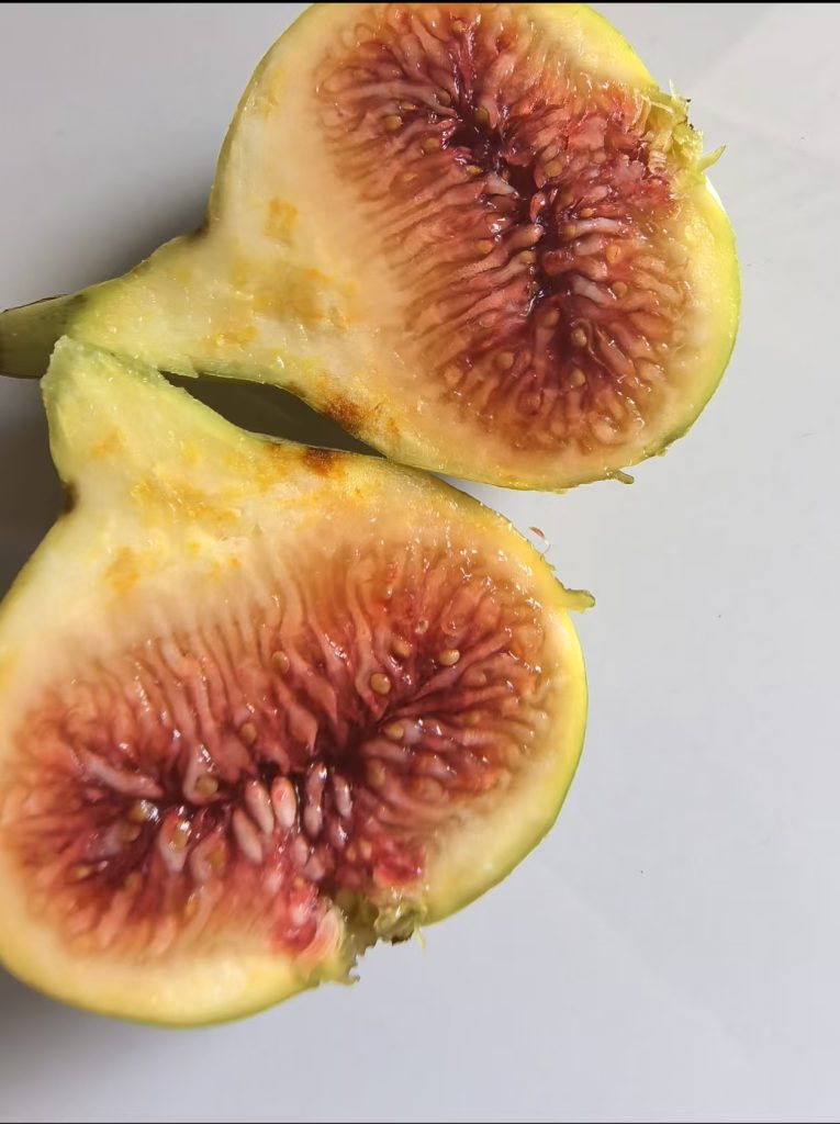 评论图片-小果迷