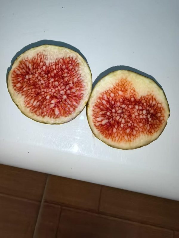 小果迷-种植爱好者交流互动平台