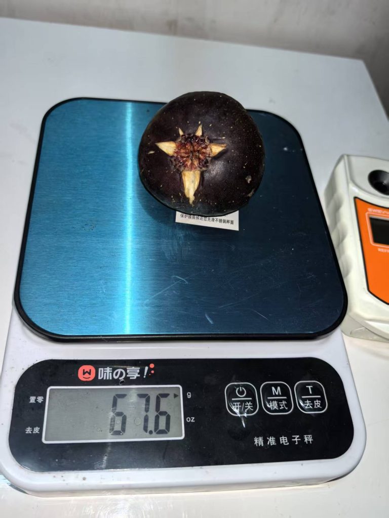 评论图片-小果迷