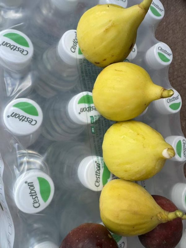 小果迷-种植爱好者交流互动平台