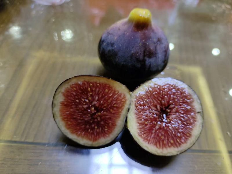 1.渴望/克莱文的渴望 Craven’s Craving（果图来自无名氏/山东）-小果迷