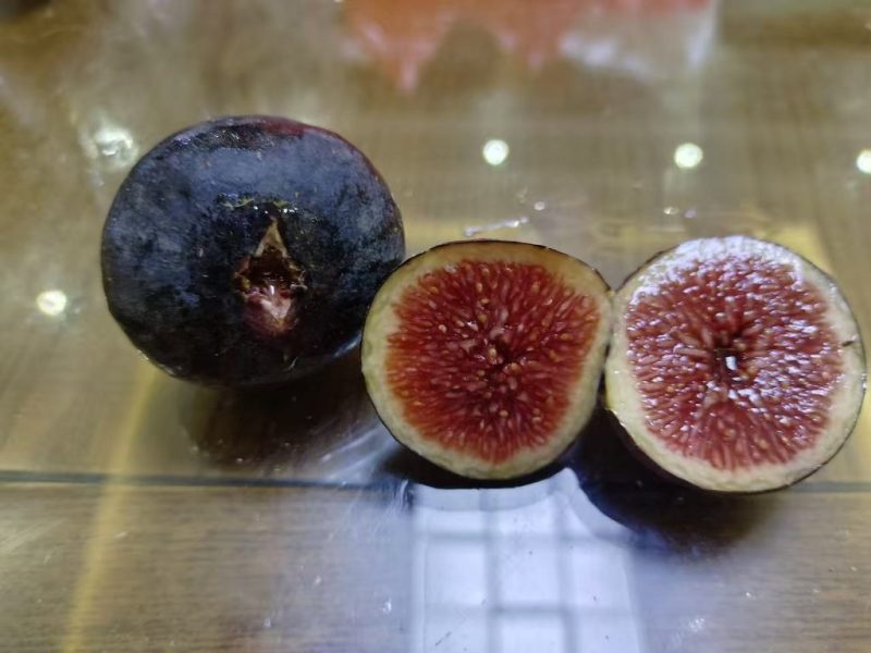 小果迷-种植爱好者交流互动平台