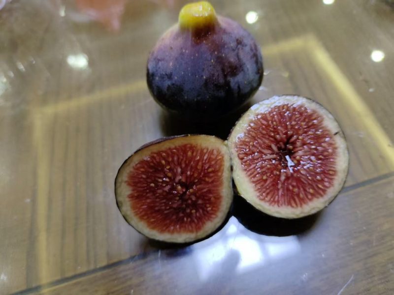 小果迷-种植爱好者交流互动平台