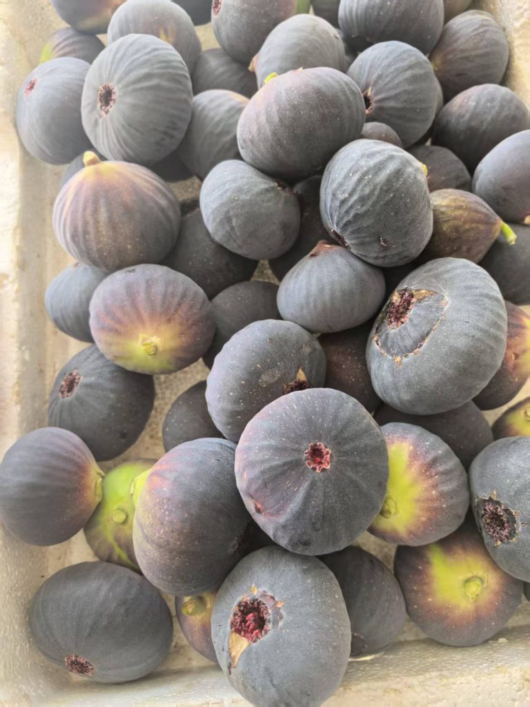 评论图片-小果迷