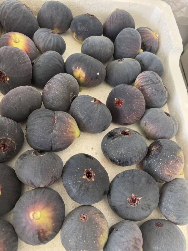 评论图片-小果迷