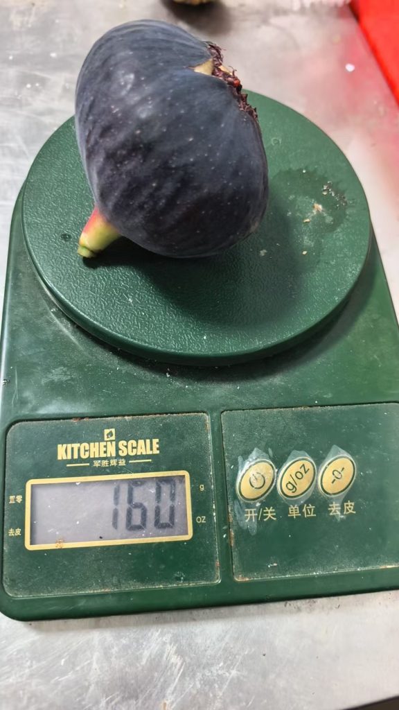 评论图片-小果迷