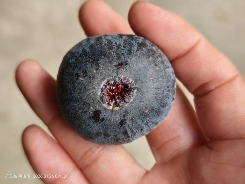 小果迷-种植爱好者交流互动平台