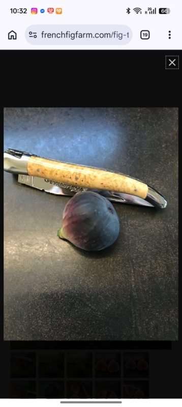 小果迷-种植爱好者交流互动平台