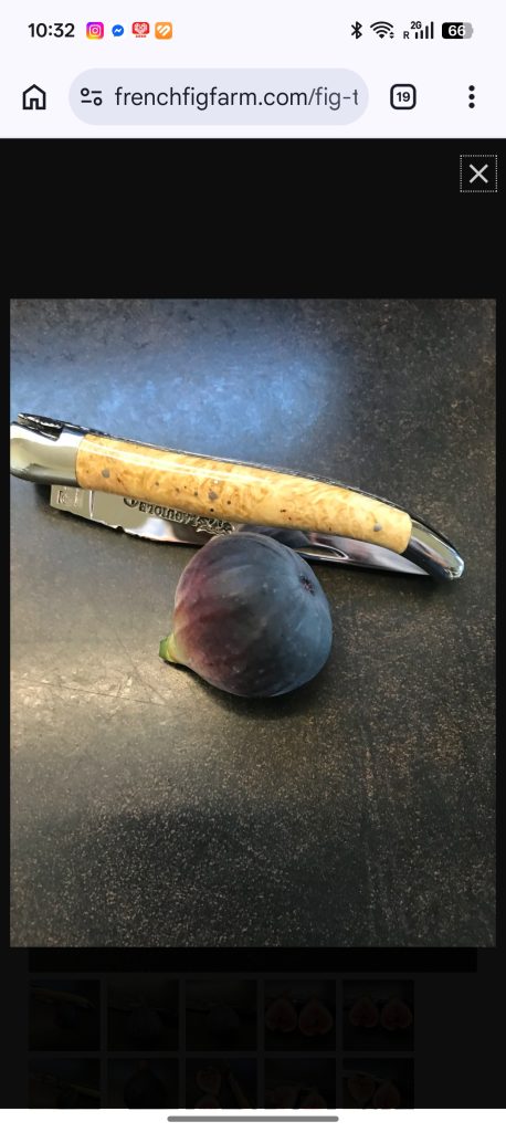 小果迷-种植爱好者交流互动平台