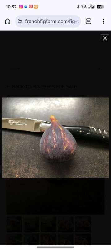 卡尔塞峡谷 Ravin de Calce（鬼手）-小果迷