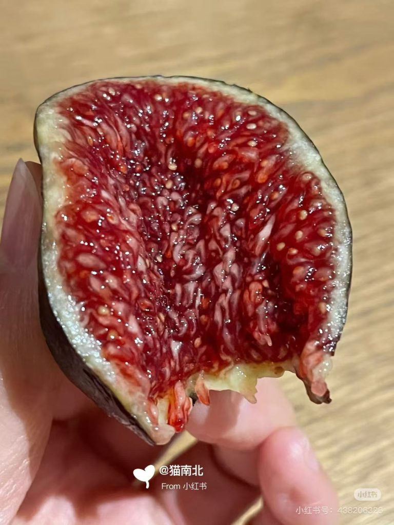 小果迷-种植爱好者交流互动平台