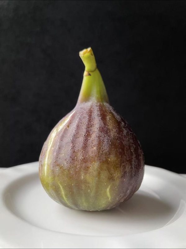 小果迷-种植爱好者交流互动平台