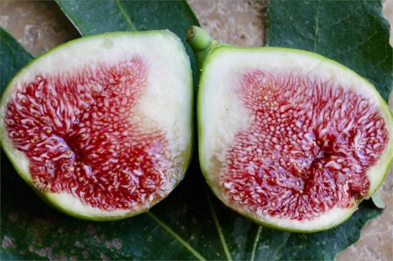 小果迷-种植爱好者交流互动平台