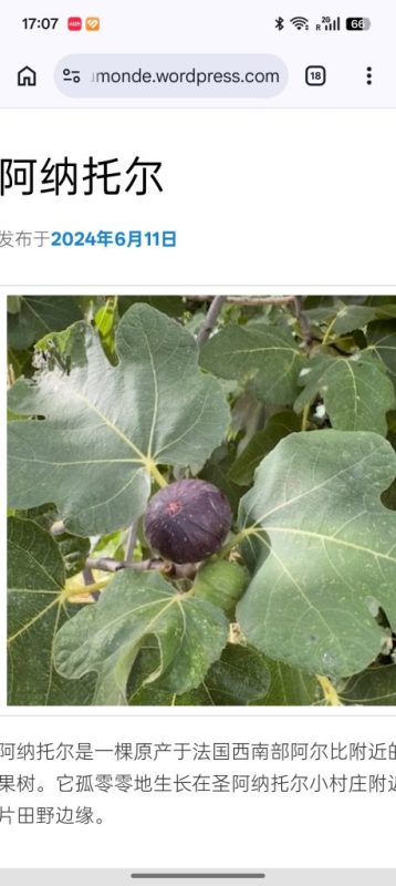 小果迷-种植爱好者交流互动平台